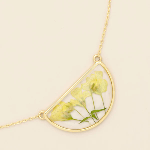 Scout Pressed Flower Collection