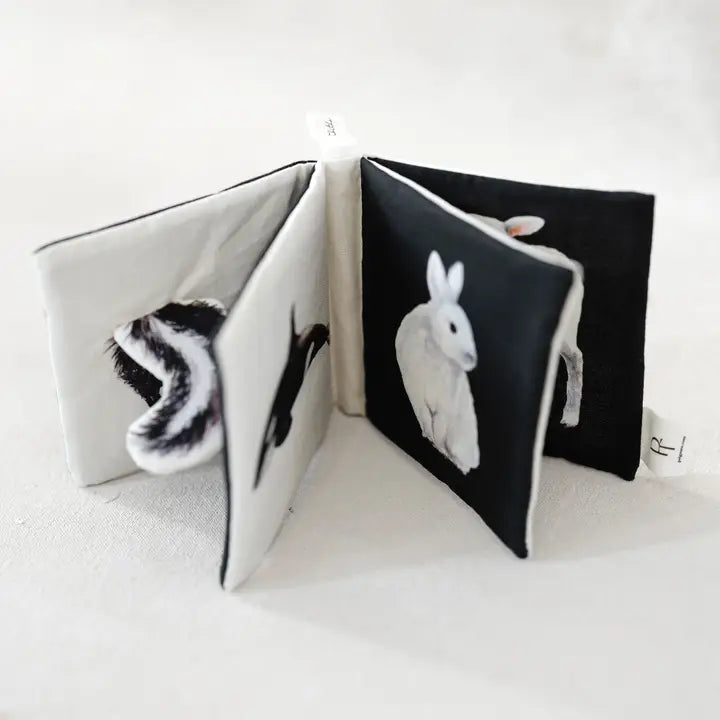 Tabitha Paige Crinkle Book