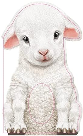 Furry Lamb