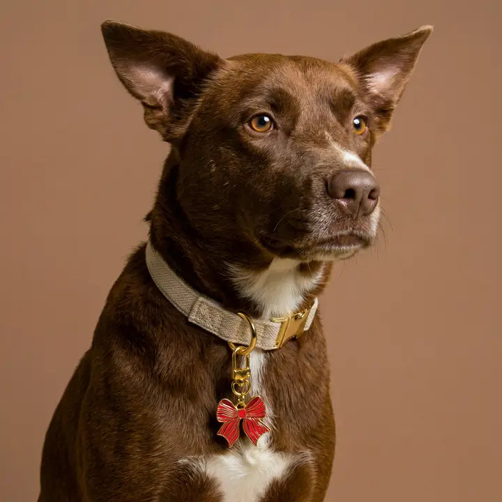 The Darling Effect Holiday Pet Collar Charm
