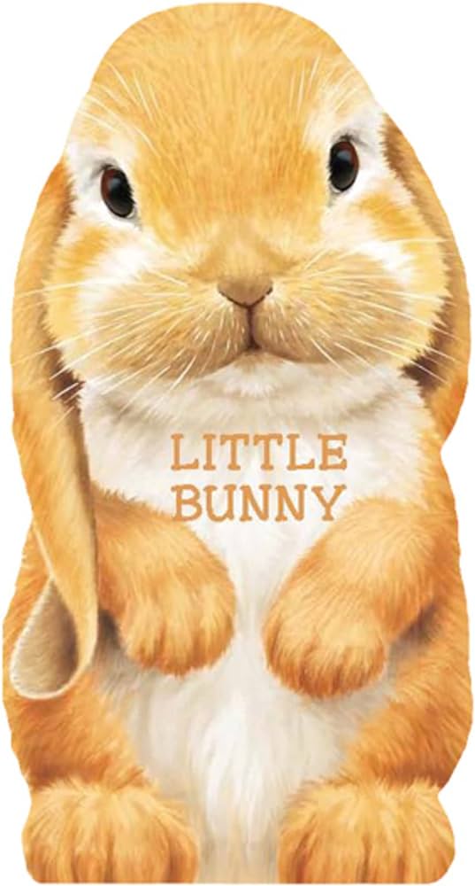 LITTLE BUNNY BOARD BOOK