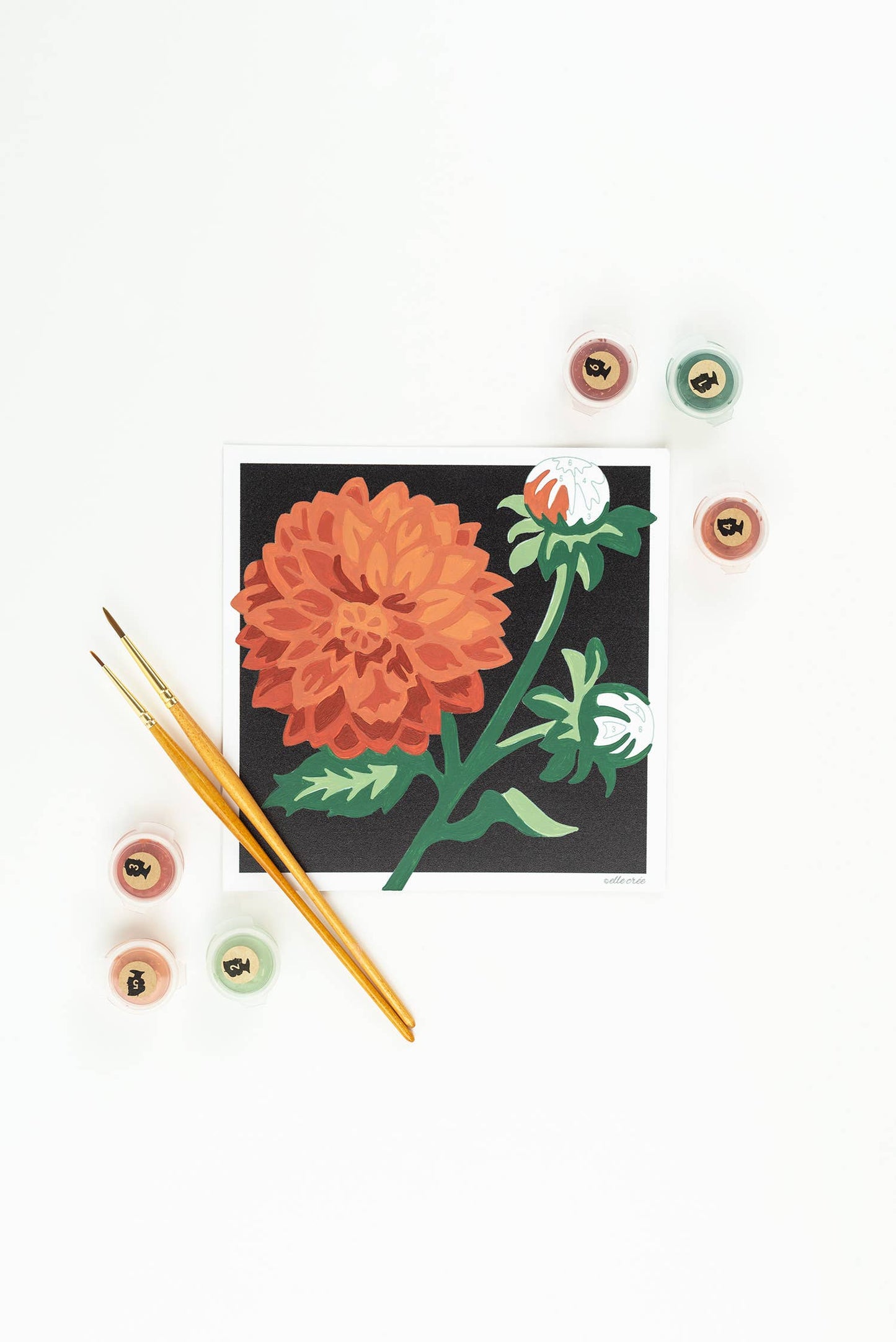 Dahlias MINI Paint-by-Number Kit