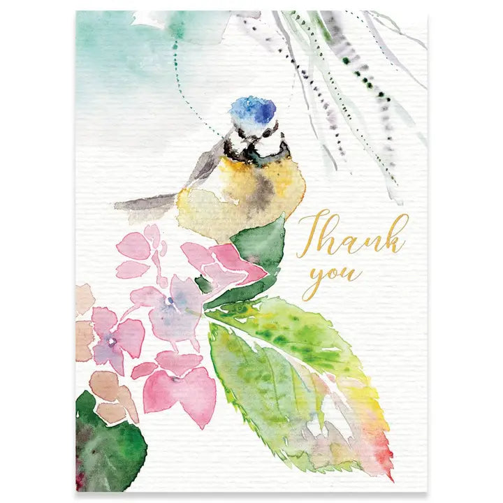 Calypso Thank You Cards
