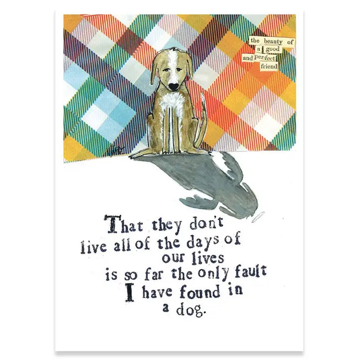Calypso Sympathy Cards