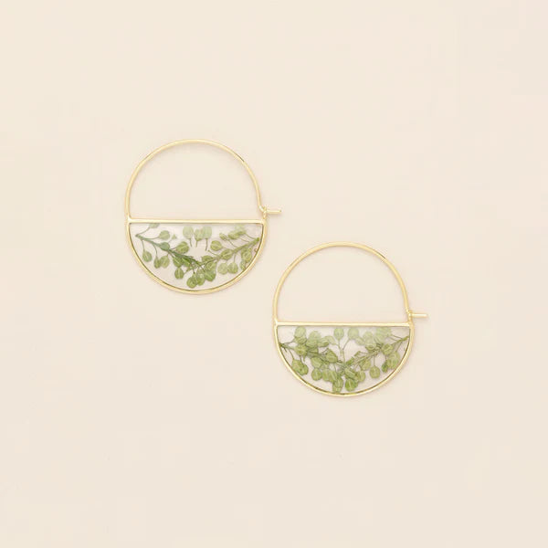 Scout Pressed Flower Collection