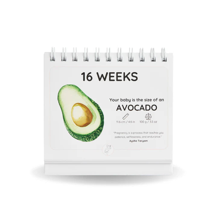 The Growing Miracle Pregnancy Calendar