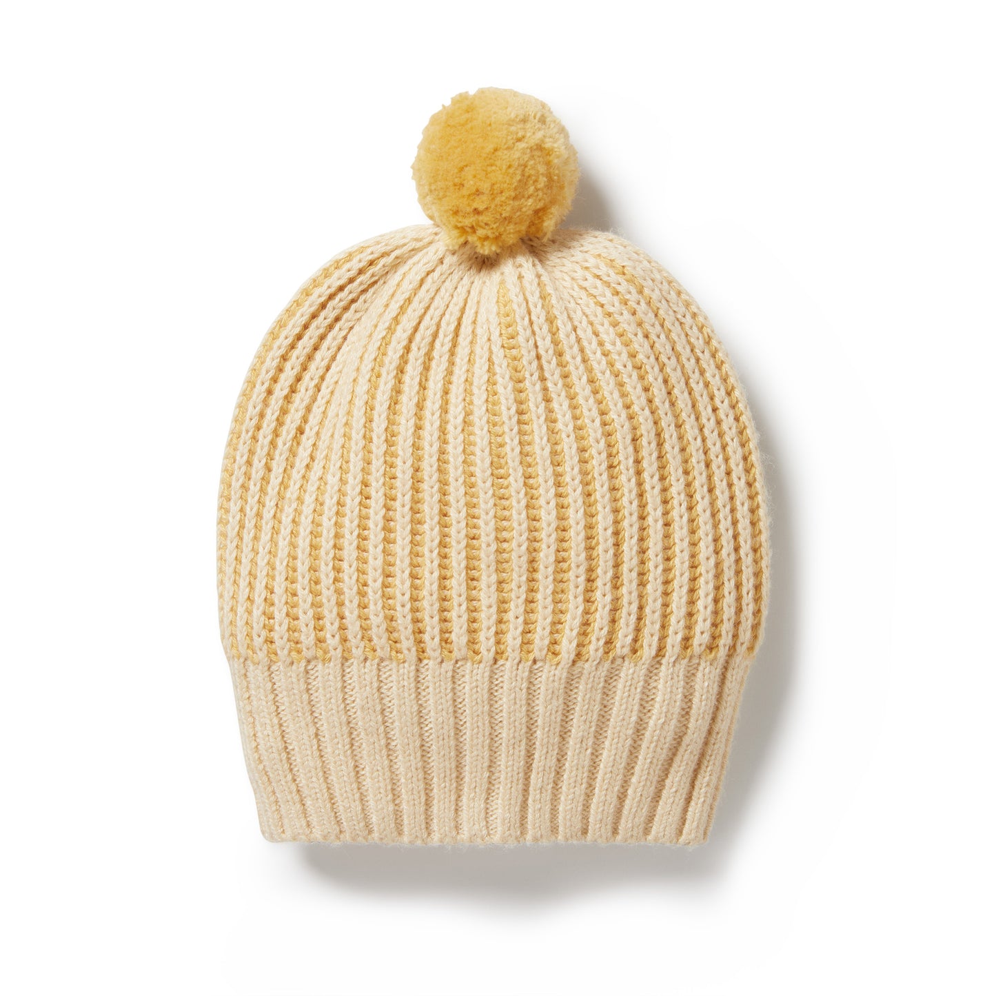 Wilson + Frenchy Dijon Knitted Ribbed Hat