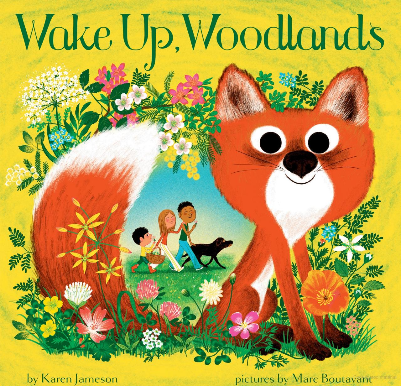 Wake Up Woodlands Book