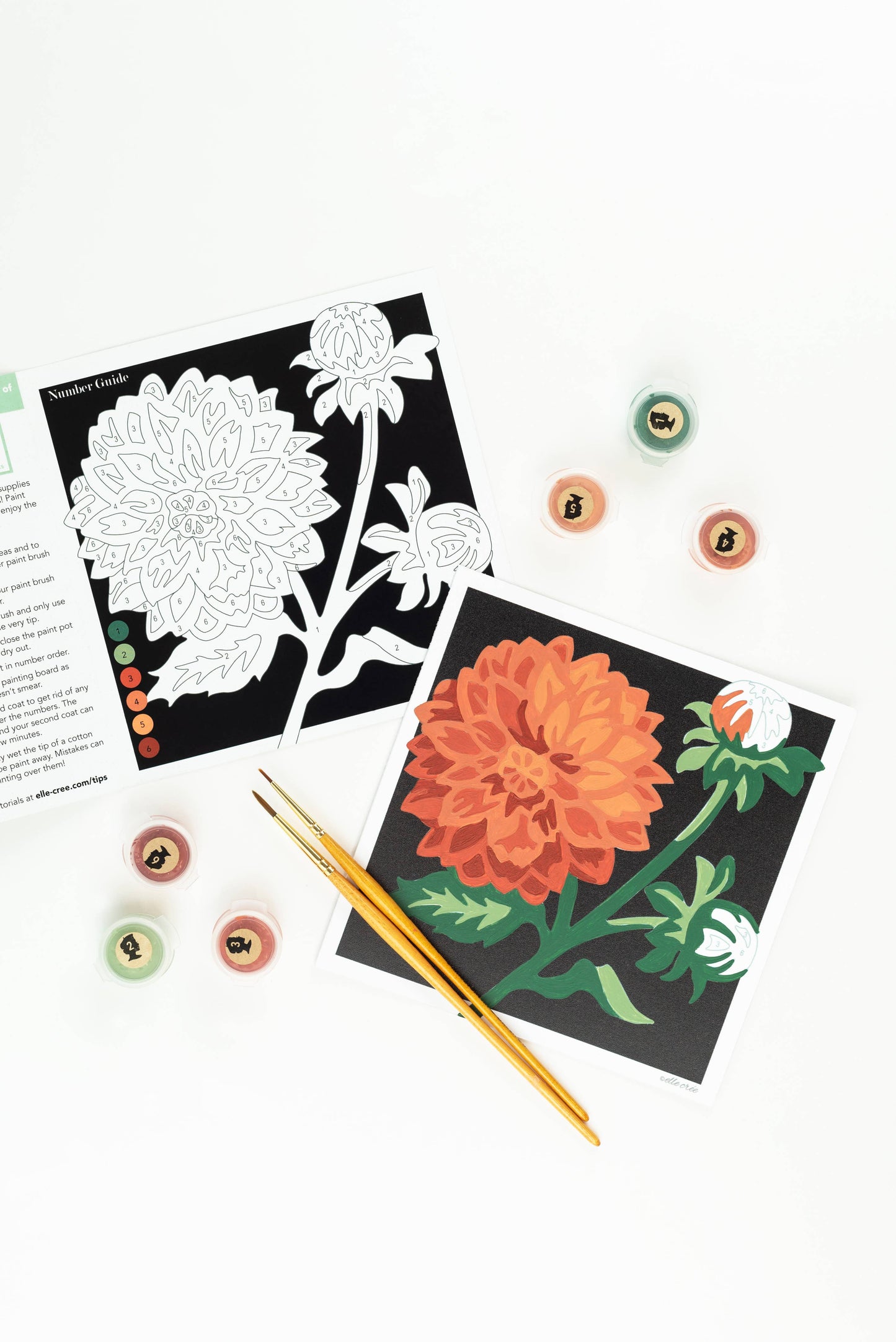 Dahlias MINI Paint-by-Number Kit