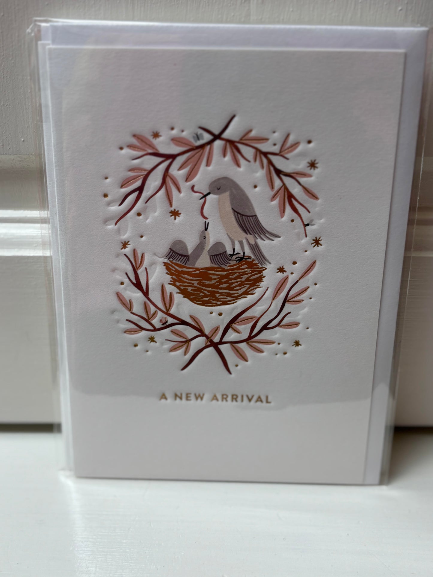 Calypso Baby Cards
